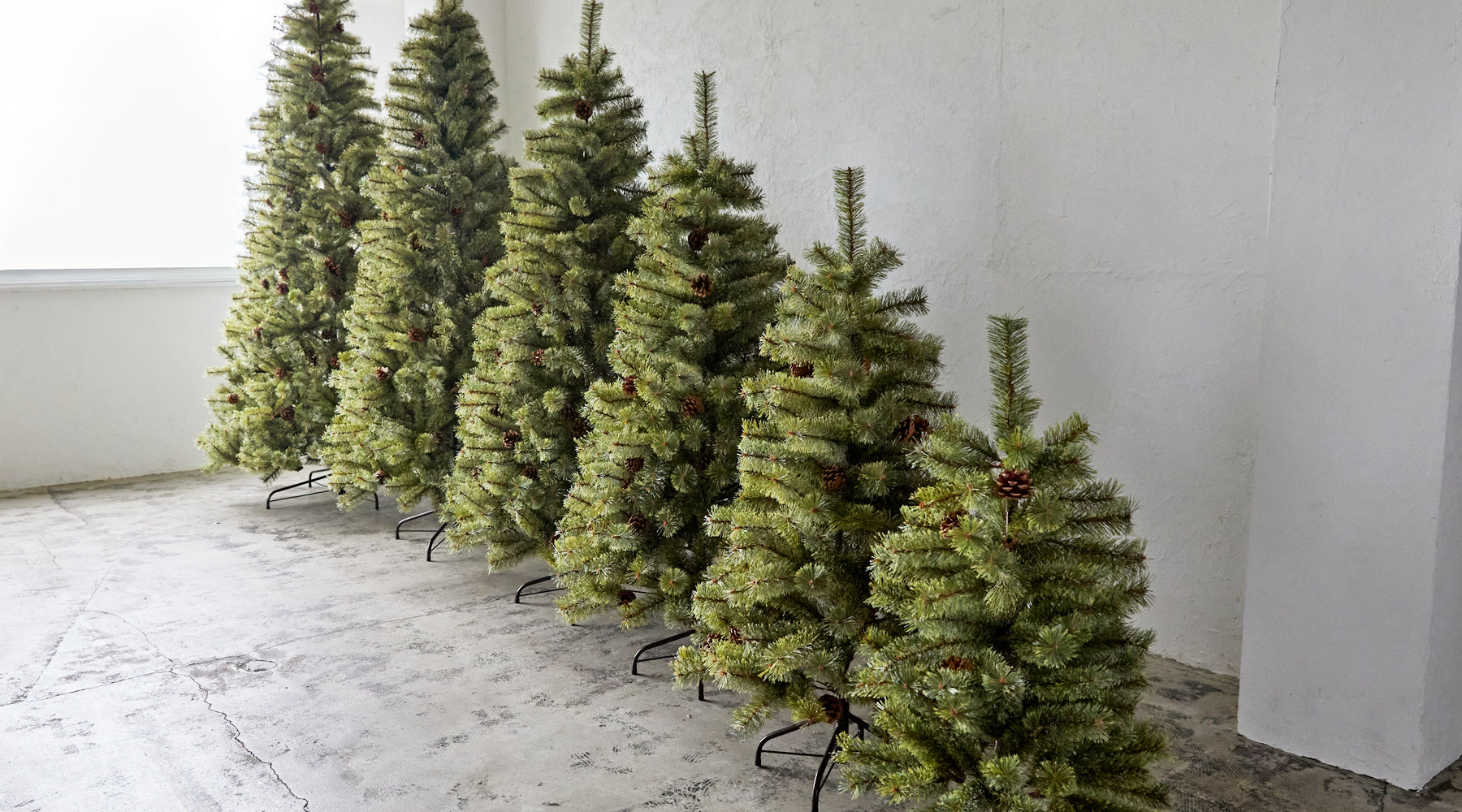 サイズ選びのポイント – alsace_tree