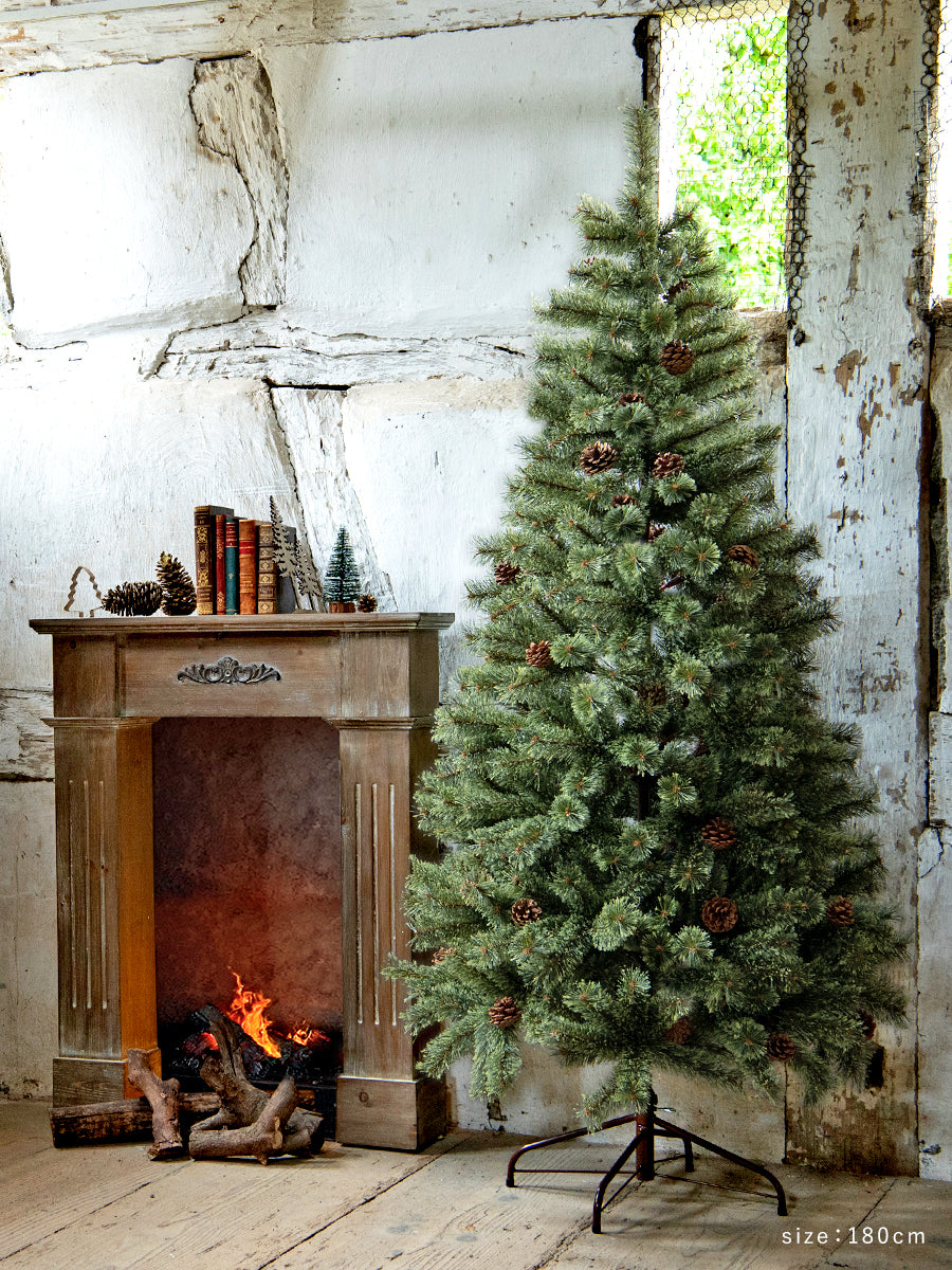 アルザスツリー 樅 – alsace_tree