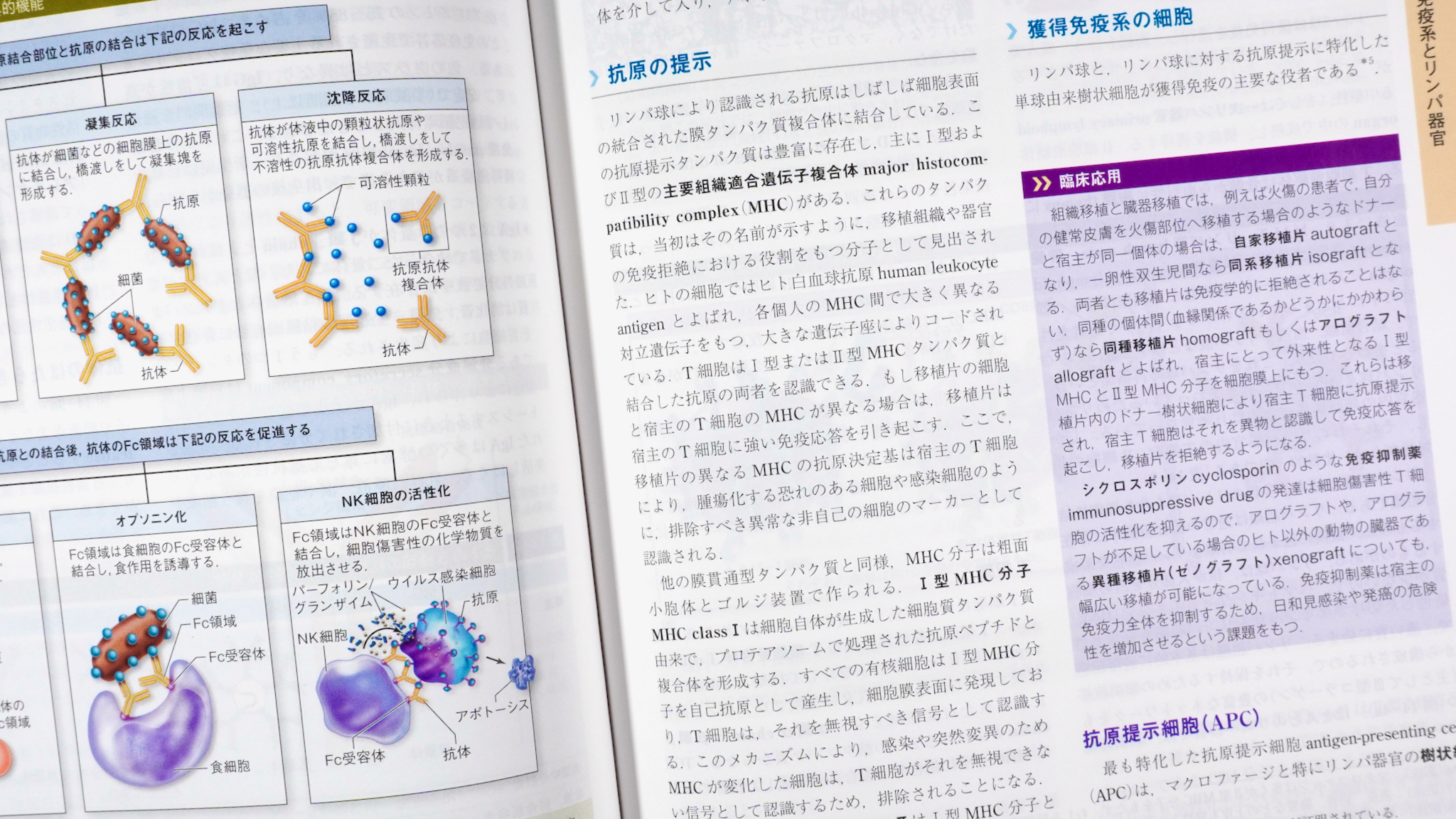 ジュンケイラ組織学 第6版〈原著第16版〉 / Anatomy 今日も明日も
