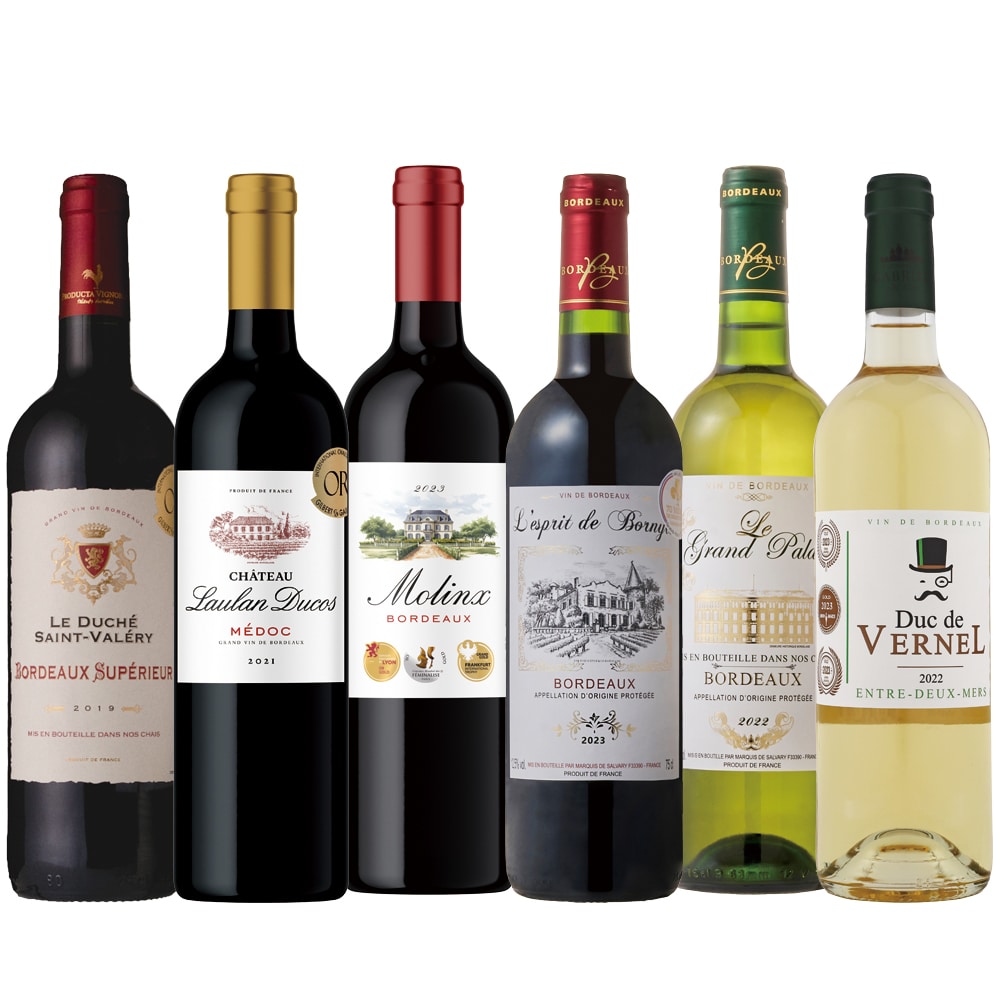 ALL金賞受賞 世界の赤ワイン6本セット【FD】