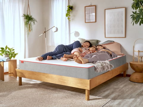 コアラマットレス上陸5周年、明るいピンクの限定モデル - 家電 Watch