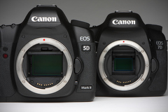 気になるデジカメ長期リアルタイムレポート：キヤノンEOS 5D Mark II