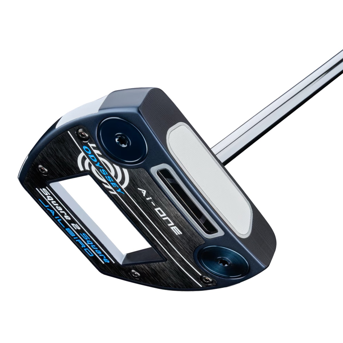 エーアイワン スクエア2 スクエア ジェイルバード / Ai-ONE Square 2