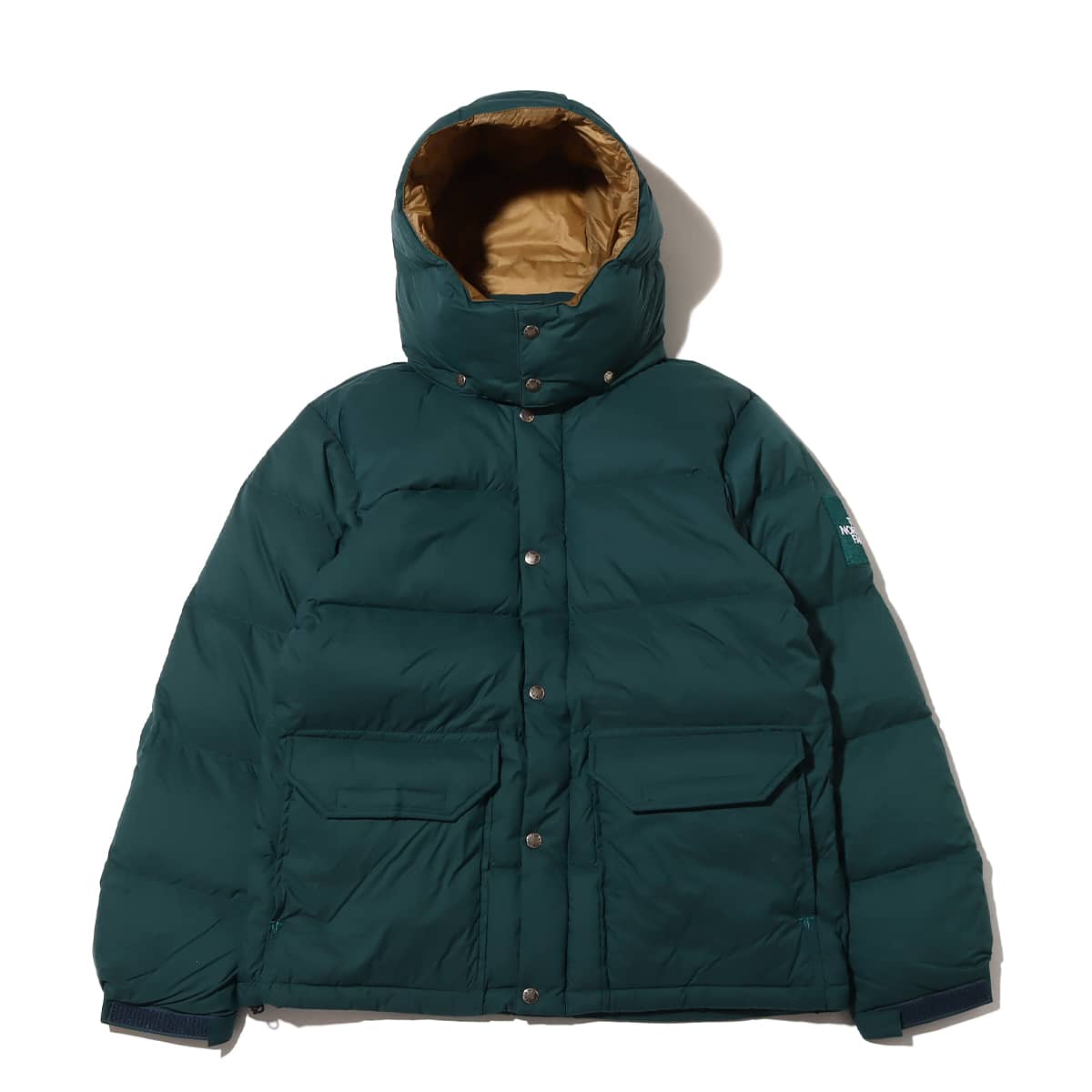 THE NORTH FACE CAMP SIERRA SHORT ポンデローサグリーン 22FW-I（ザ