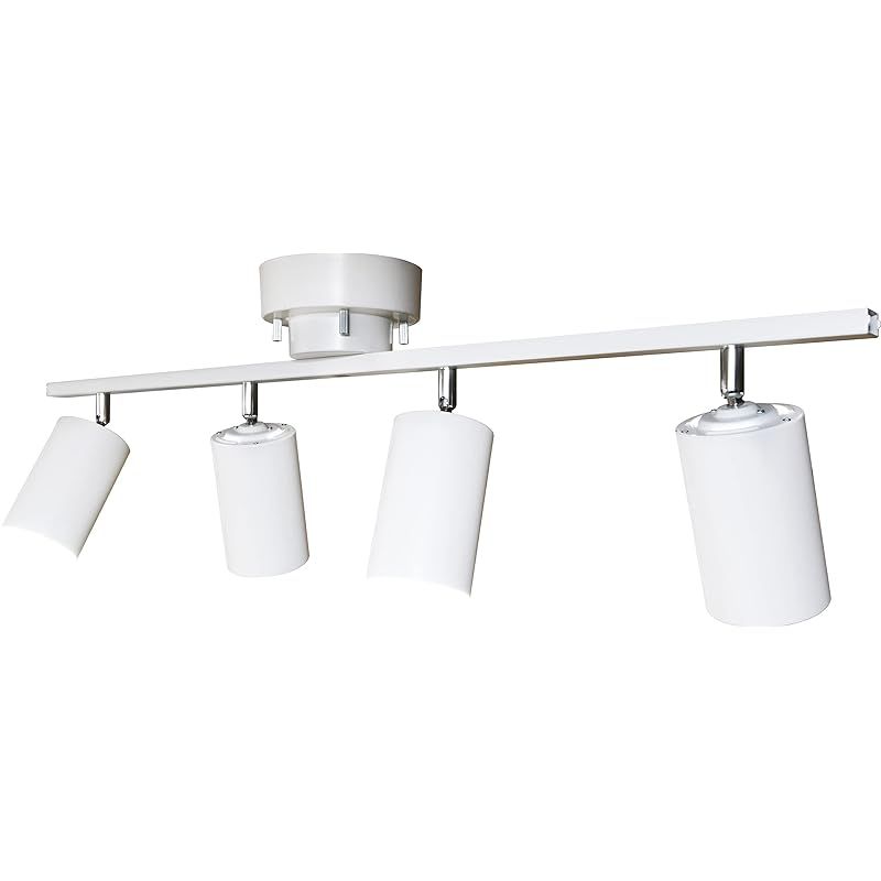 佃眞吾さん 折りたたみ式お弁当箱 佃眞吾さん 折りたたみ式お弁当箱