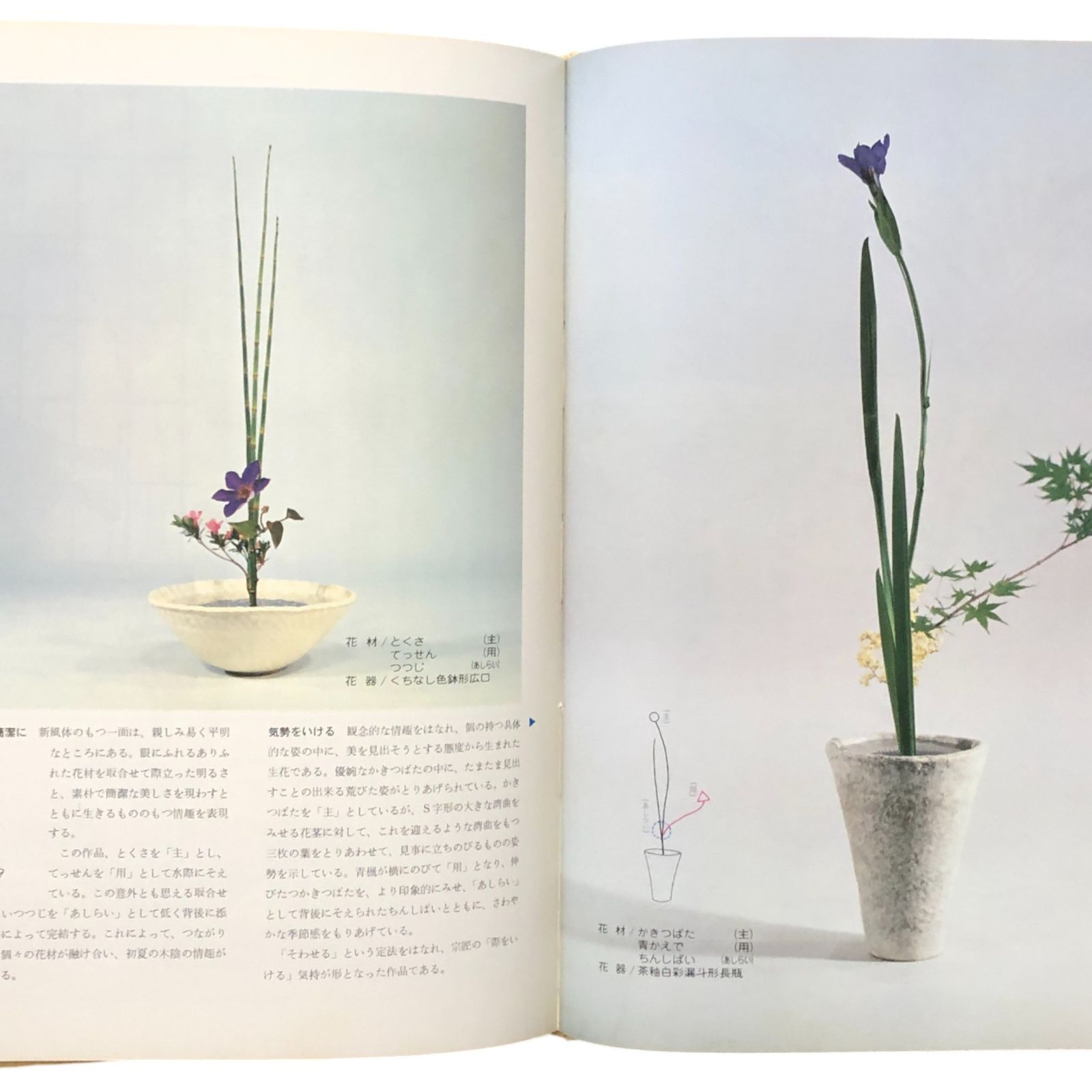 池坊専永挿花集 第1・2集 生花新風体 夏・秋/冬・春 著者：池坊専永