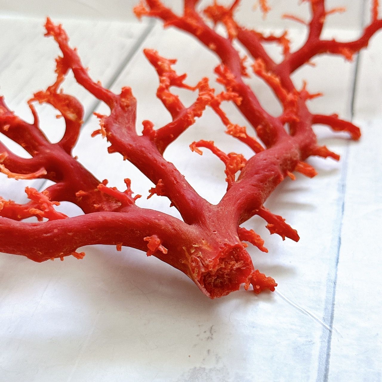 高知県産】希少☆天然 血赤珊瑚 原木 サンゴ 重さ93.5g コーラル