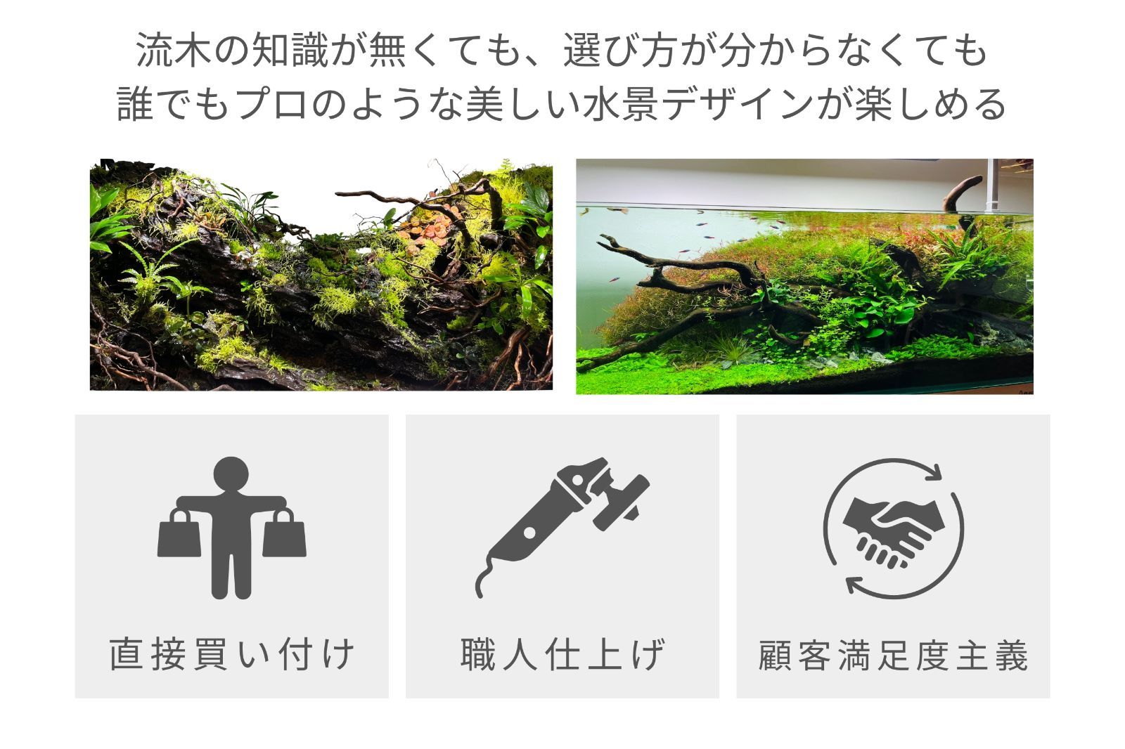 溶岩石 サムライラバロック 10個セット 水槽レイアウト 園芸インテリア