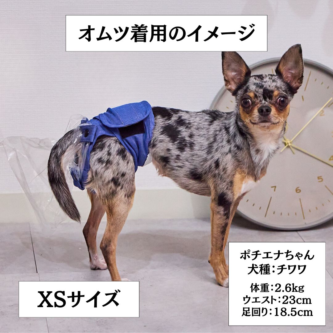 FriendDoggy うんコロキャッチ Lサイズ 未使用1枚、使用品:2枚 うん