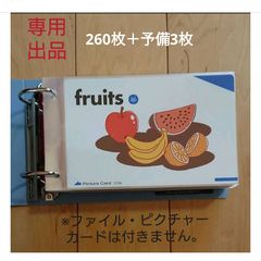 ペッピーキッズクラブ ピクチャーカード収納袋(リフィル) 約406枚