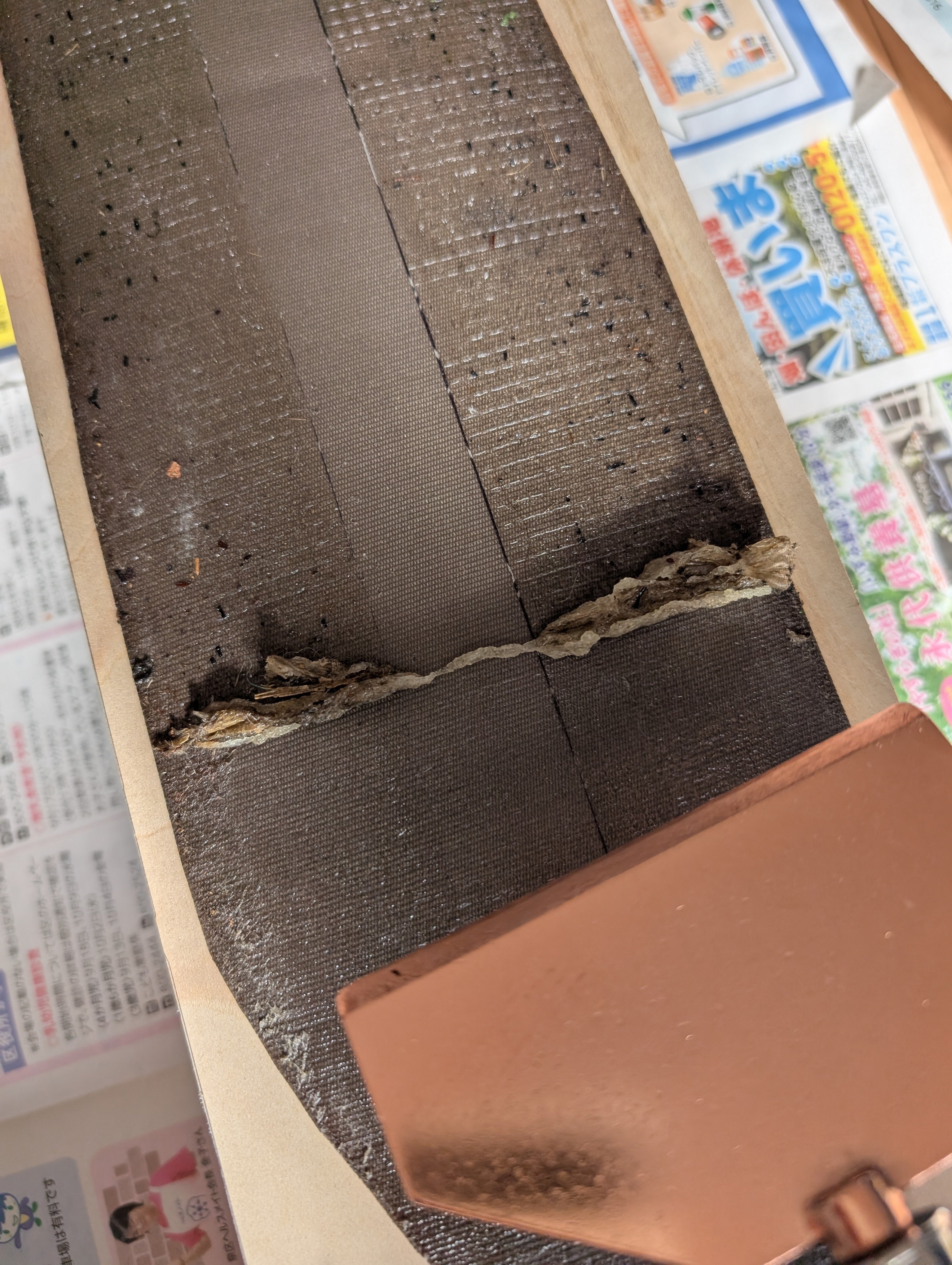 スキーシールのグルー貼り替え｜carvingmyway