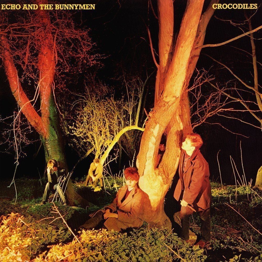 凛々しき孤高 〜 エコー・アンド・ザ・バニーメン 〜｜近藤 真弥