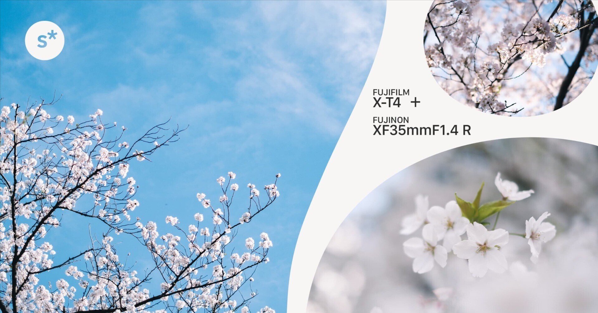 FUJINON XF35mmF1.4 R｜日常に咲く桜を撮る｜Yusuke Miura