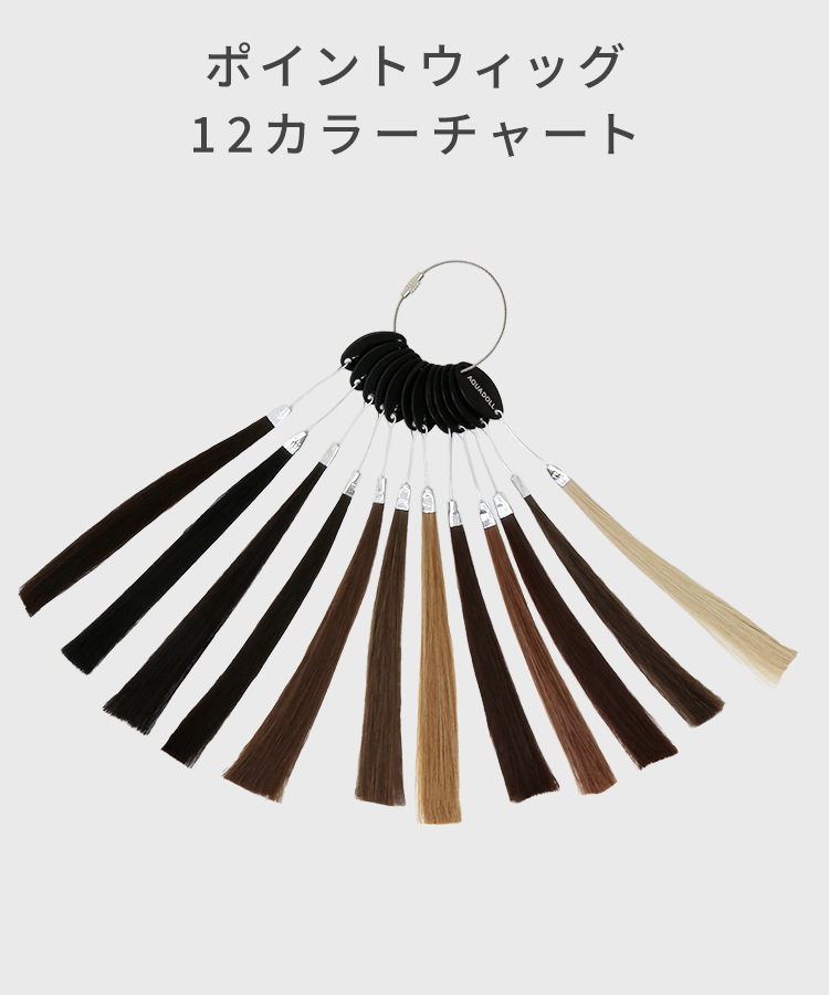 ポイントウィッグ12カラーチャート[wgcc006]