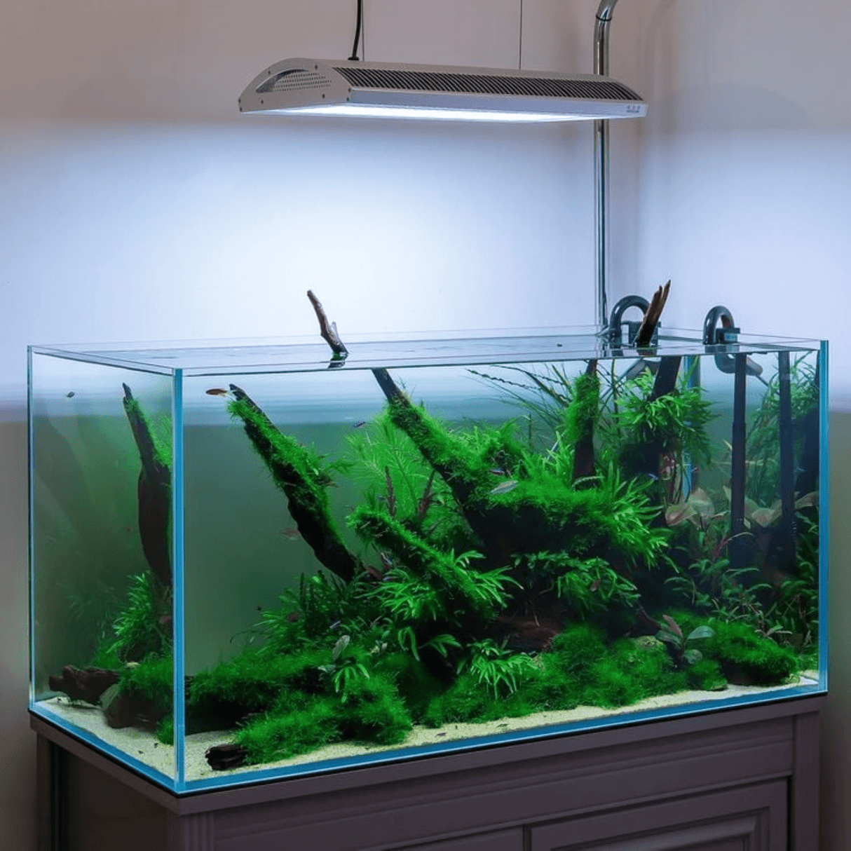 Week Aqua A Series RGB-UV LED – The Aquascape Shop