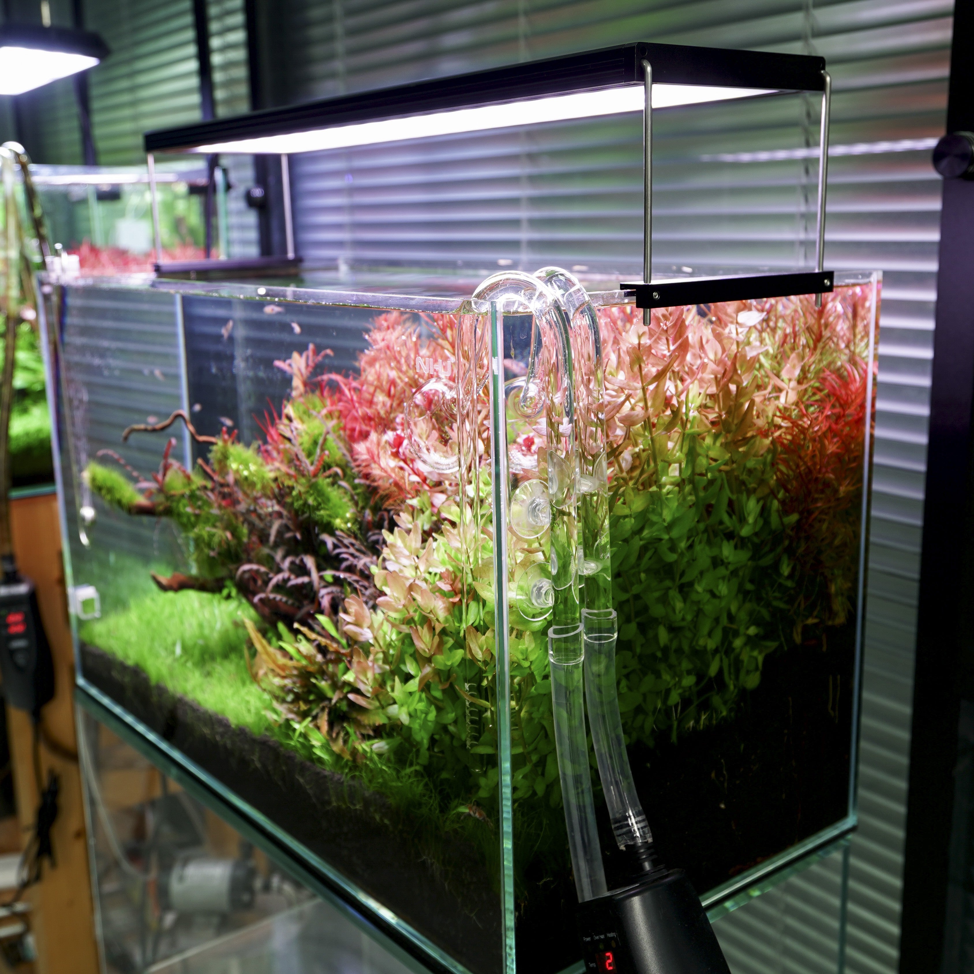 Chihiros WRGBII PRO LED | Premium App Controlled Fish Tank Lights