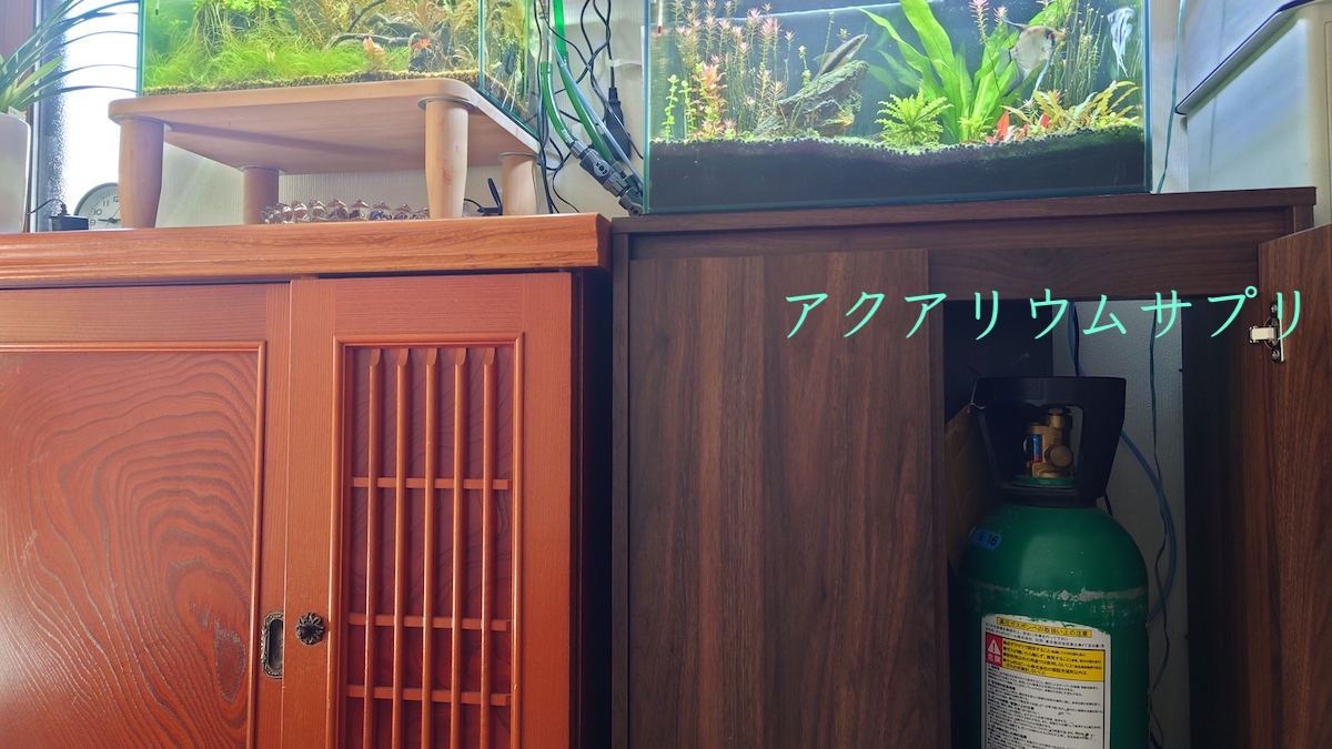 水草水槽】ボンベ式CO2添加に最低限必要なおすすめフルセット解説