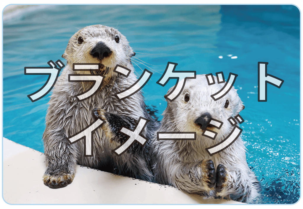 終了】鳥羽水族館ラッコ飼育40周年記念BOOK「ラッコメモリアルBOOK