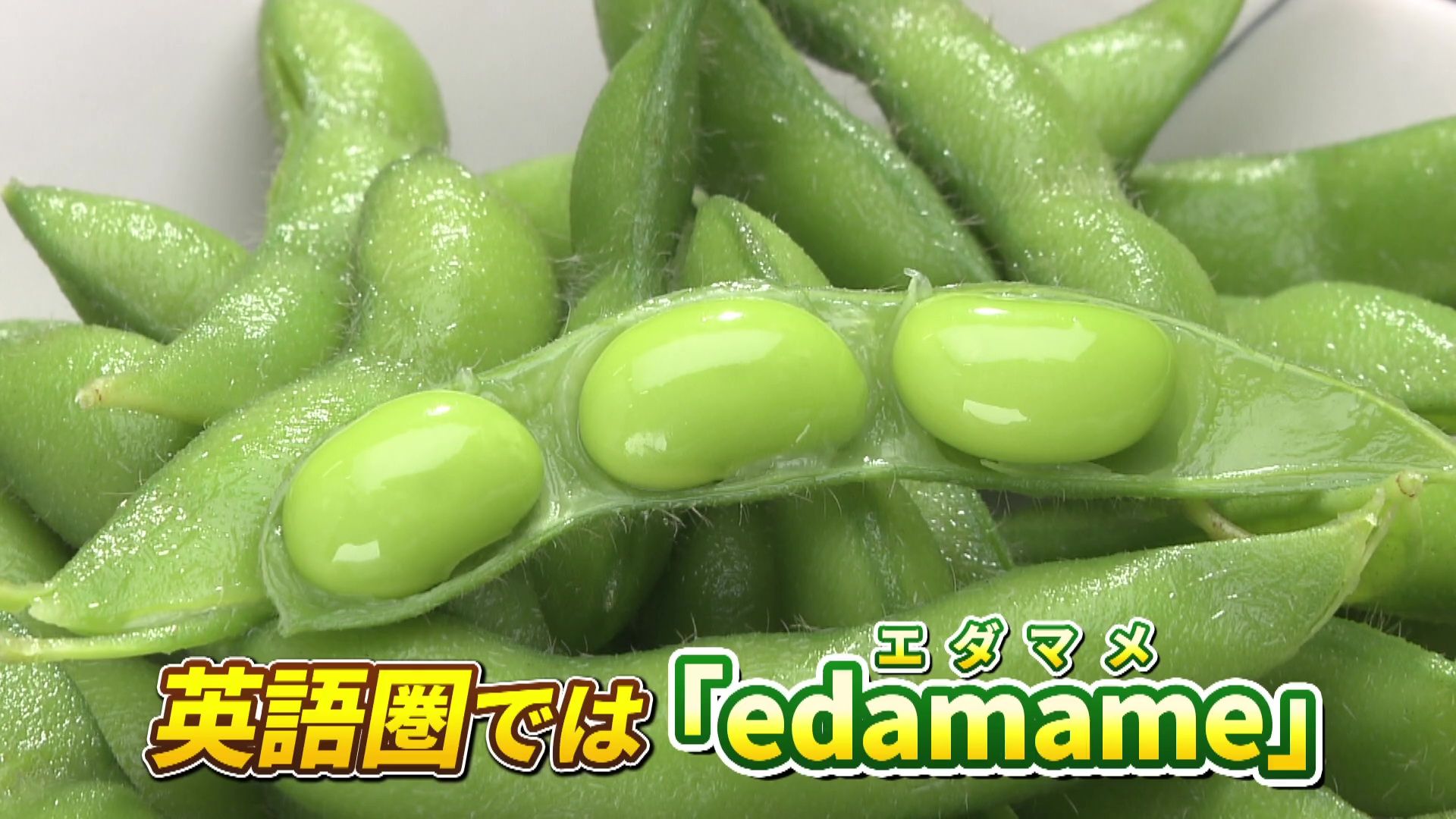 ♯807 芽室町・枝豆 編:あぐり王国北海道NEXT｜HBC北海道放送