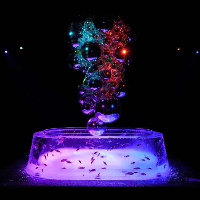 展示作品 | アートアクアリウム | ART AQUARIUM