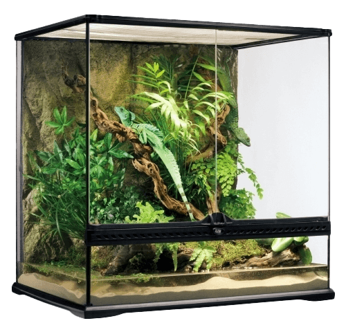 EXOTERRA エキゾテラ特集 | チャーム