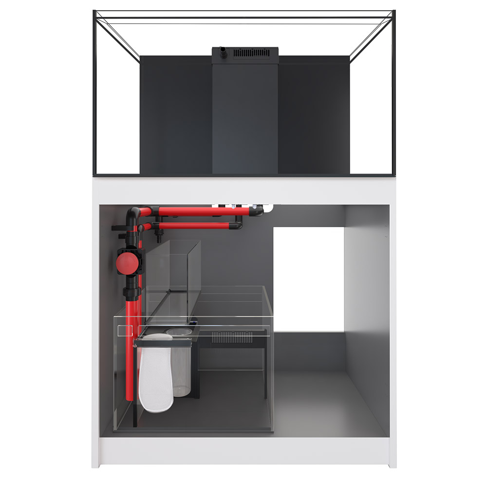 レッドシー リーファー特集 | チャーム