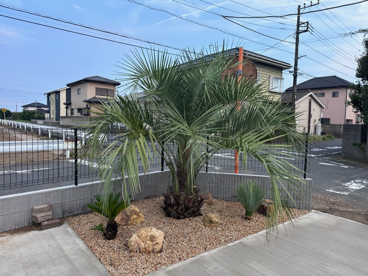 ココスヤシ、ドライガーデン施工🌴 - アツタガーデン