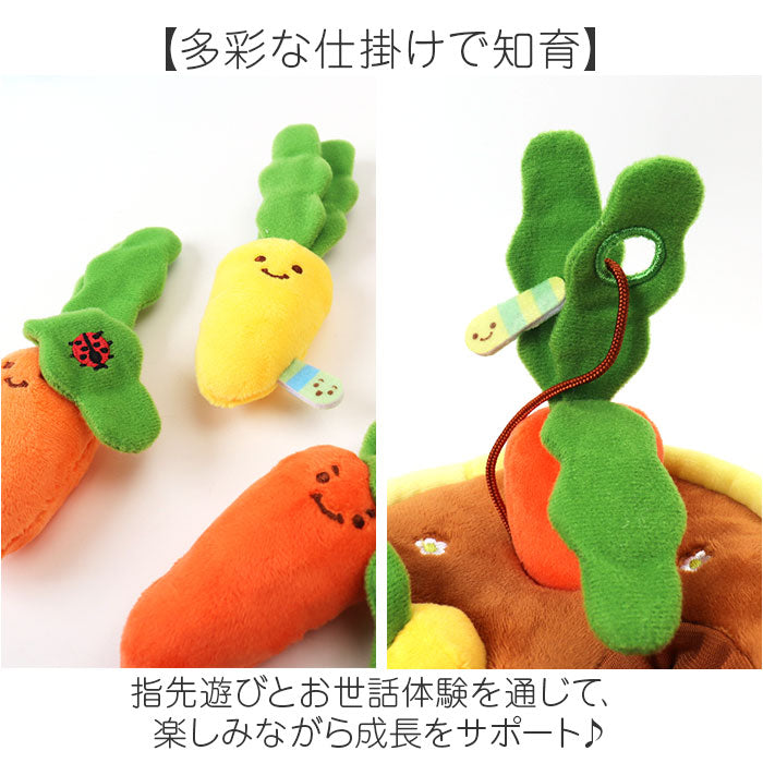 minicarrot_2_2048x.jpg?v=