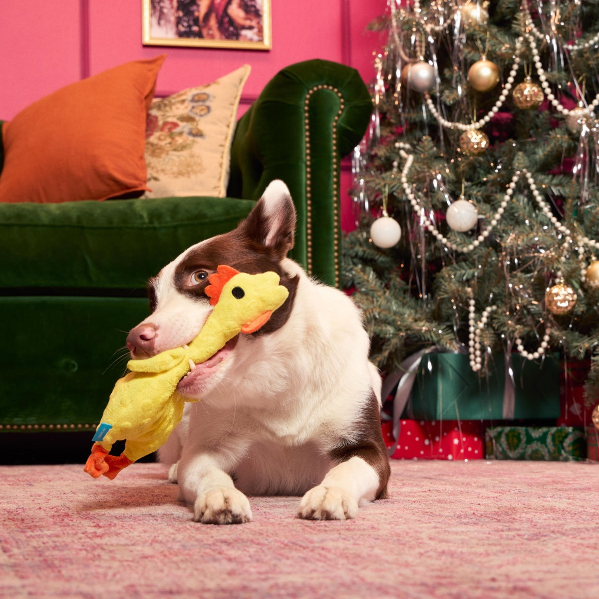 Fozziwig's Rubber Chicken Plush Tug Dog Toy – BARK