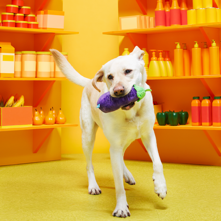 Double Trouble Veggies Multi-Part Dog Toy – BARK