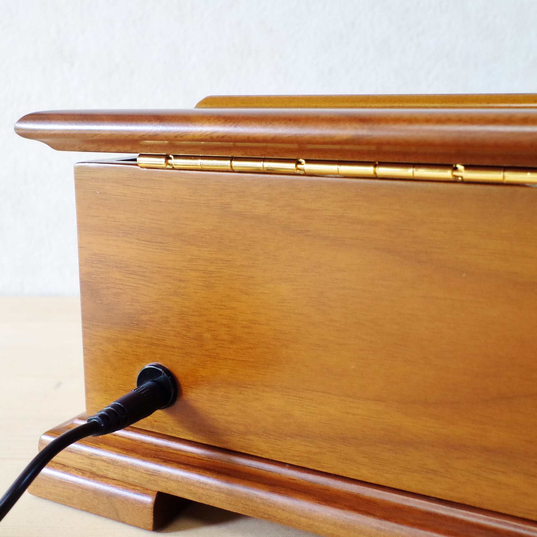 フジゲン 20弁ディスクオルゴール （ディスク7曲入り） | 木のおもちゃ