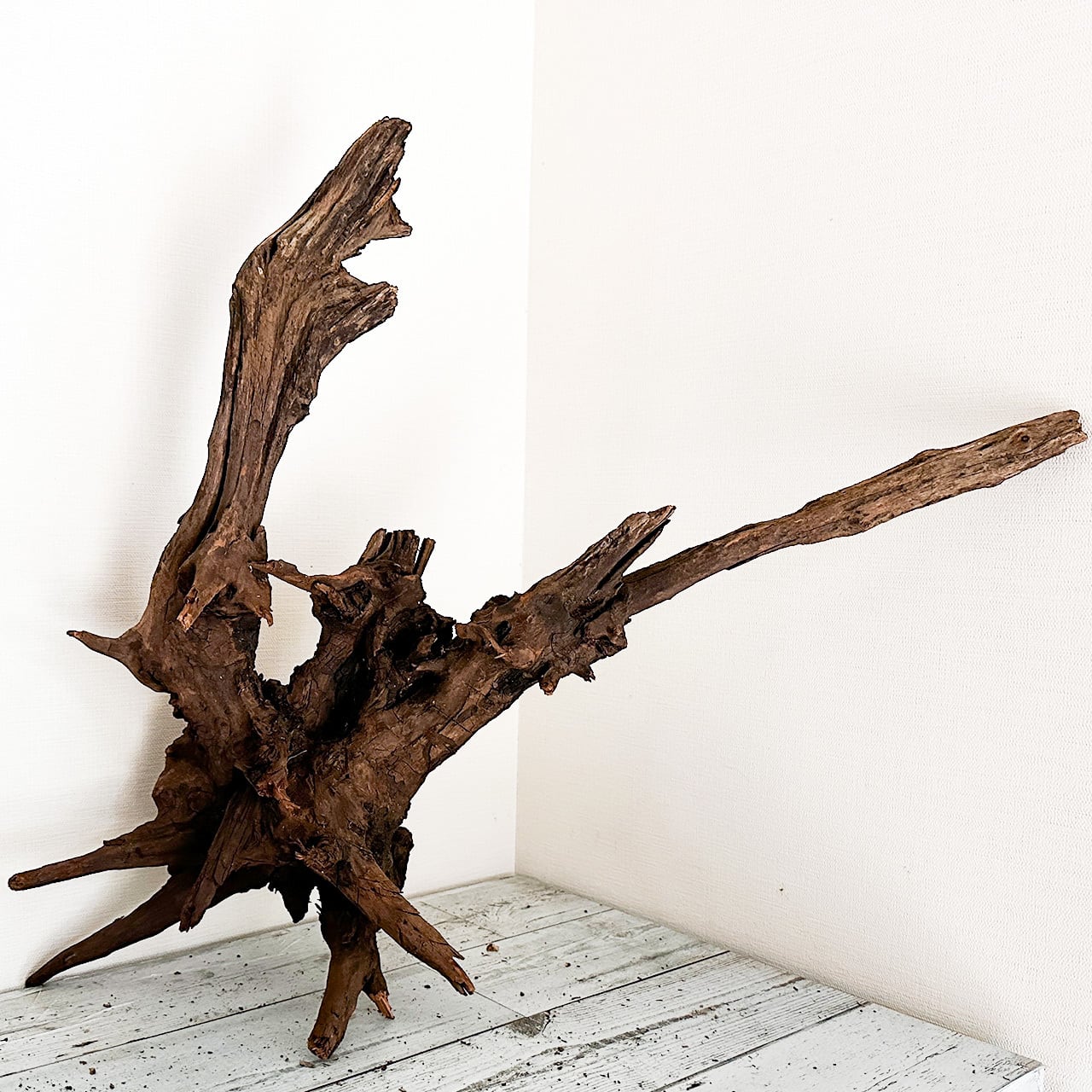 U*P様 ADAホーンウッド 未使用品 未通水 ADA ホーンウッドHORN WOOD LL