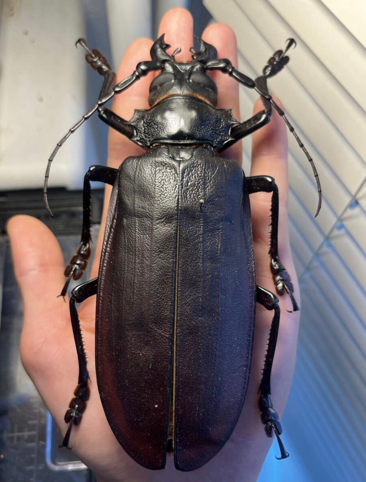 6fddea8b2f1416051489229737570c