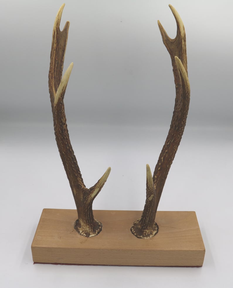 8e851e1e3c21d0d7f973e70652ee40