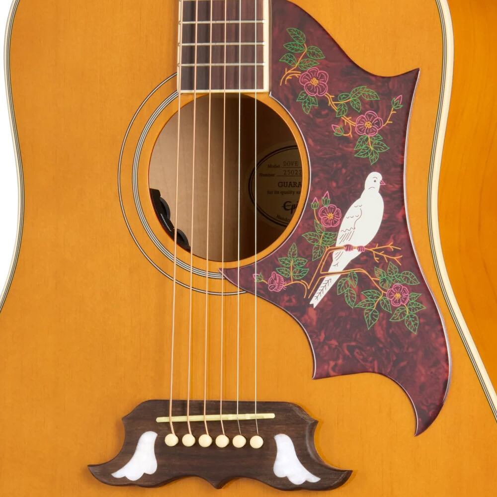 Epiphone Inspired by Gibson Dove Studio (Natural) [Fishman