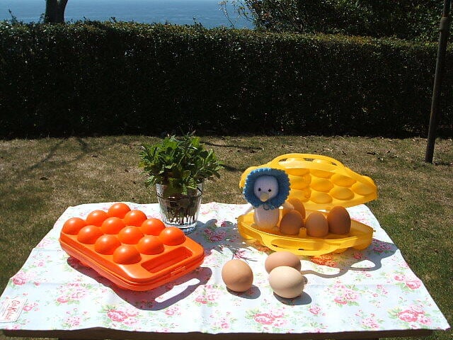 french vintage plastic egg case フランス ヴィンテージ 卵入れ