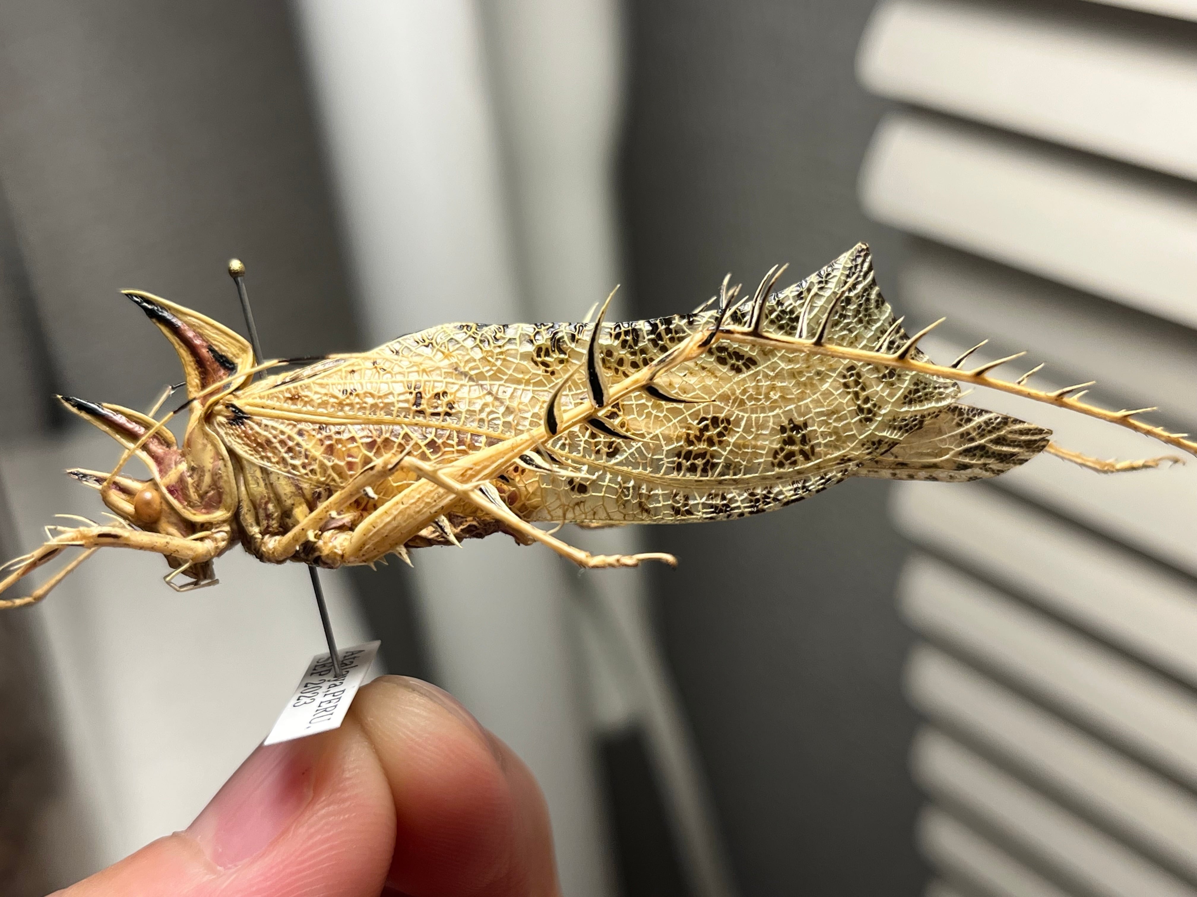 205a2609d6755de7973505e6cab8a1