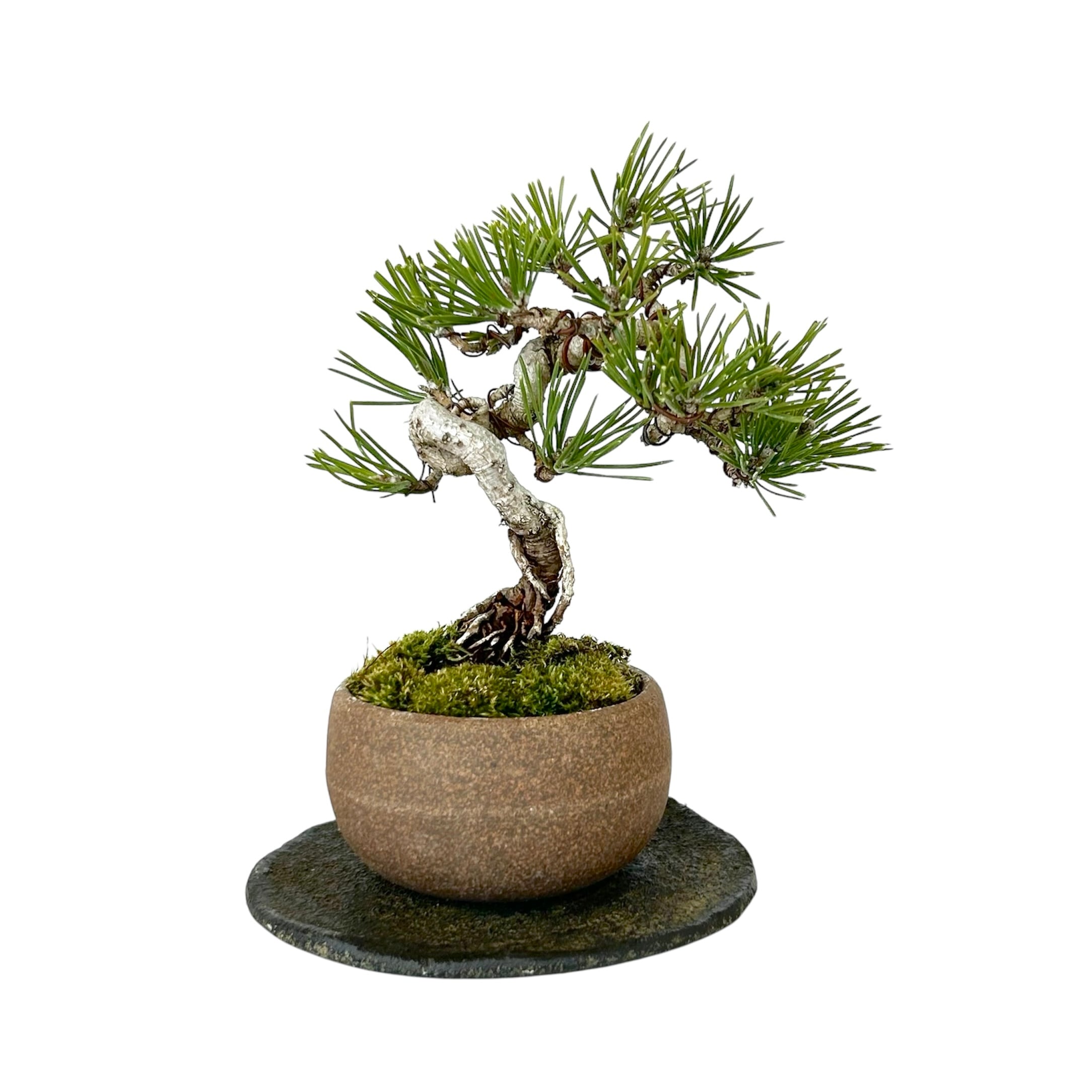 388b056fa73dc6b4c0fcb47dcfe024