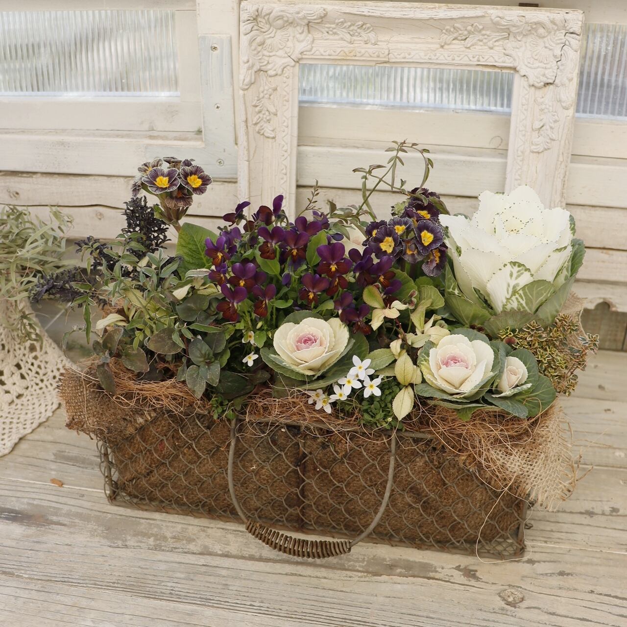 丸森ビオラとアンティークマリアージュの小さな森の寄せ植え | Green