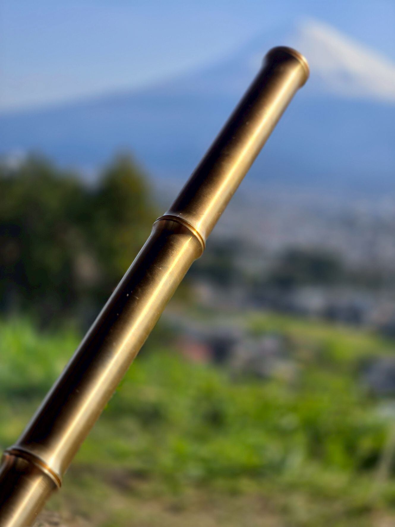 306e3cee29e95acd6f227078c58b2a