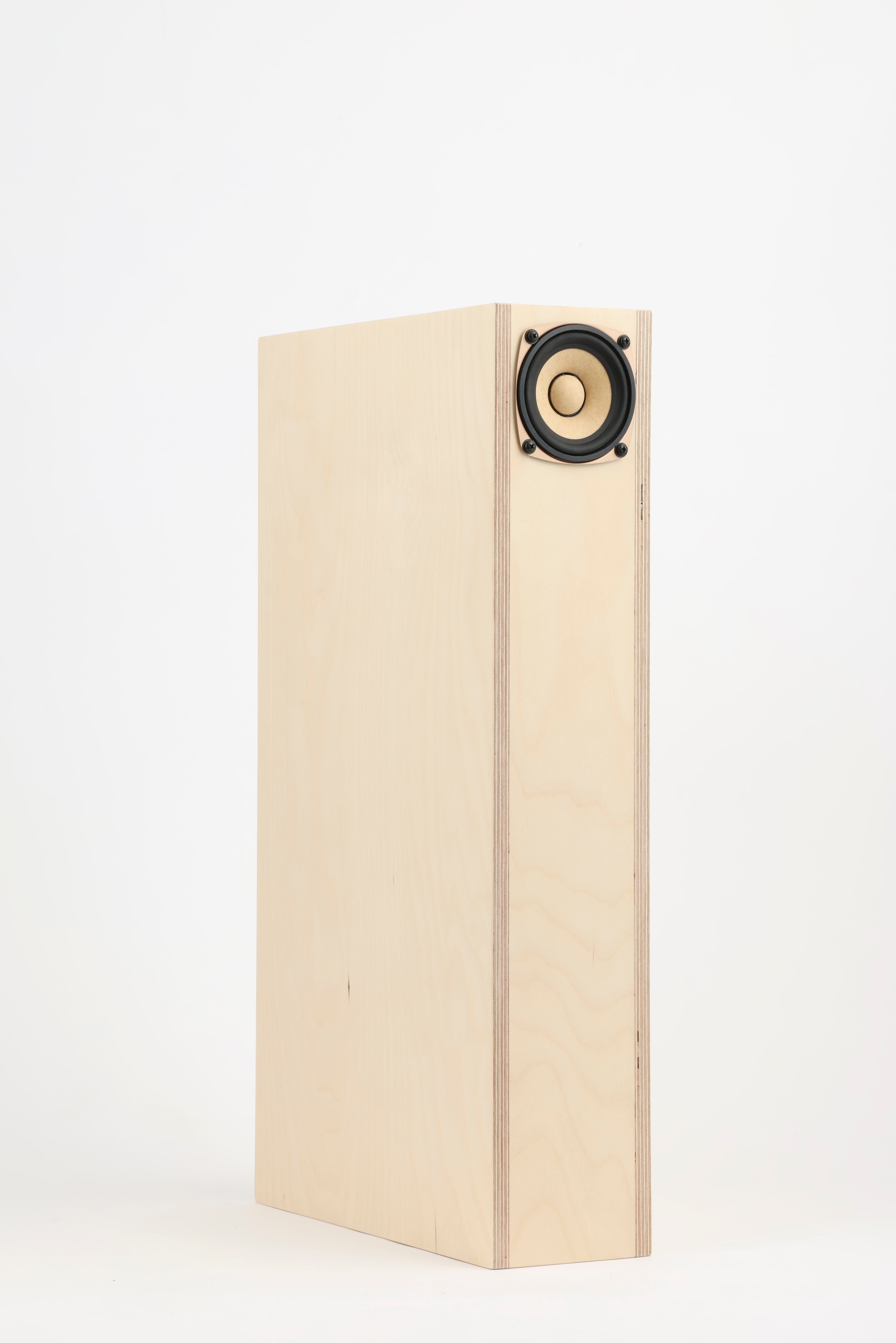 小澤隆久氏設計 QWT型エンクロージャースピーカー部品セット「MJYSP-1