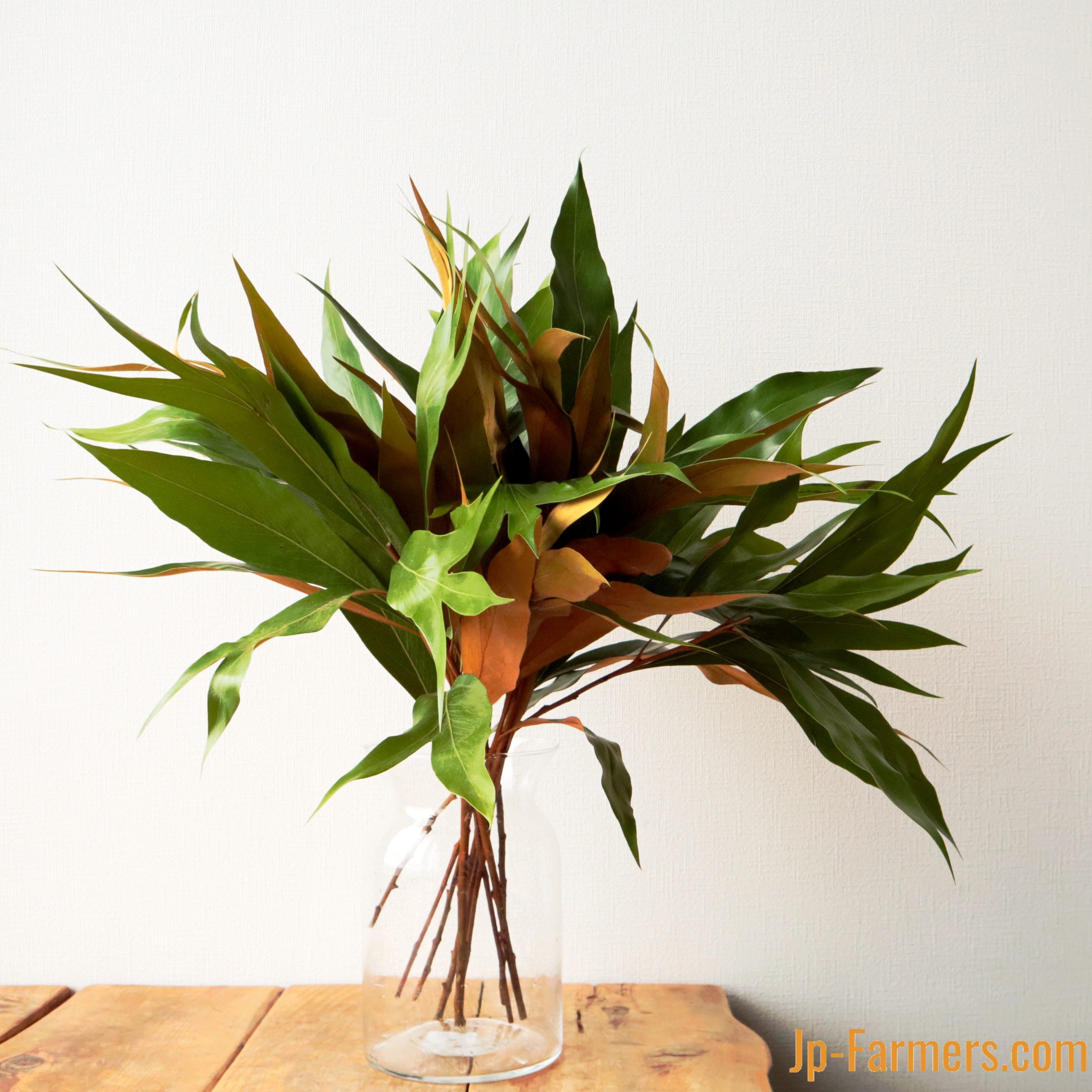 ドライフラワー素材❕スペルト小麦25本(^.^)自然栽培.:*:・'°☆ ドライ