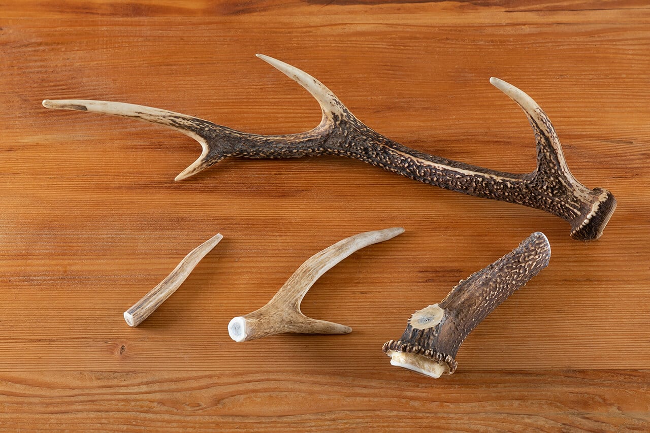 鹿角（L） | VENISON PET FOOD ｜ yamagochi やまゴチ