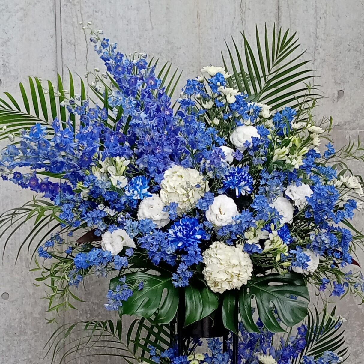 dbe72cd70b0147a2002ef147edbe1b