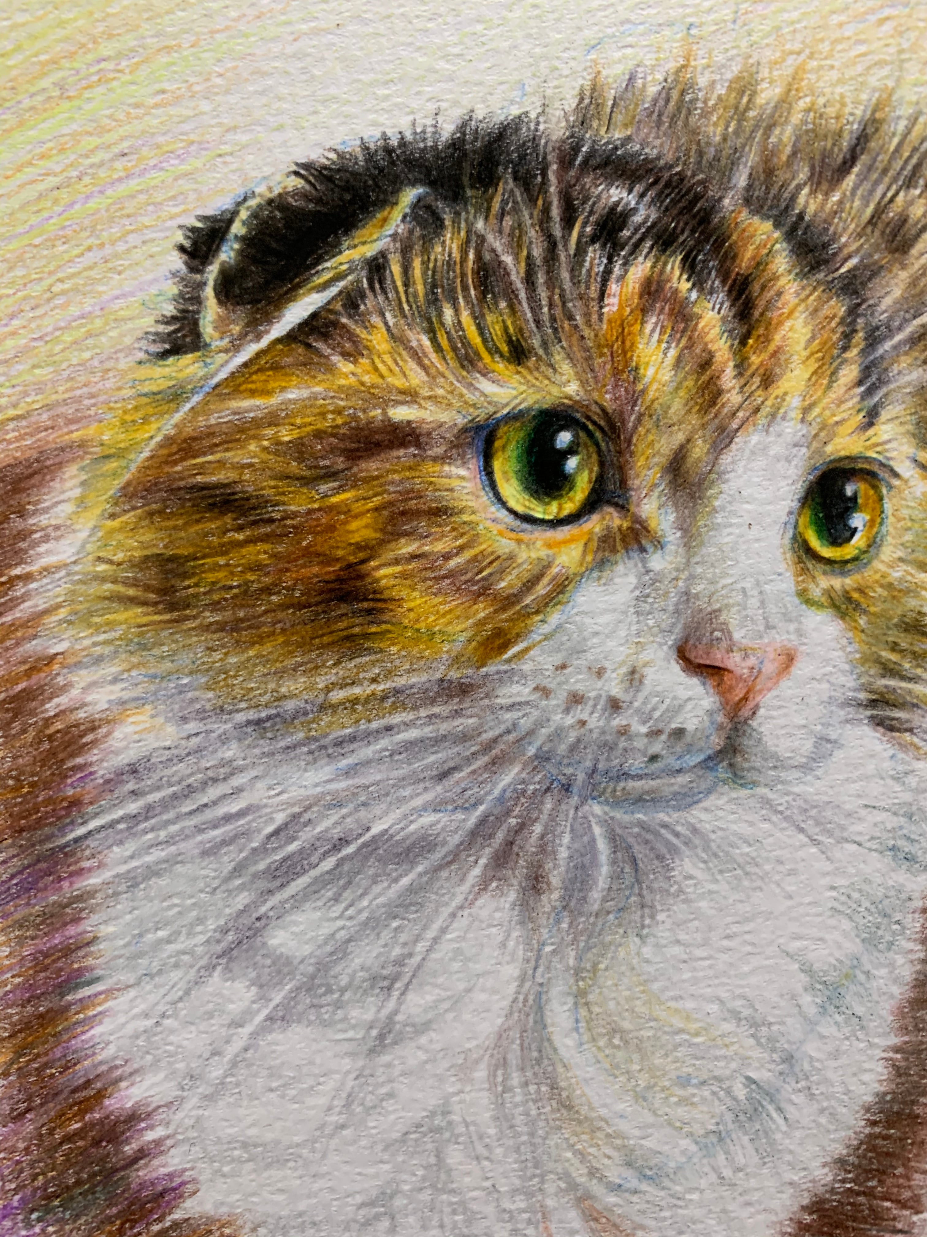 d3e55c8418f231b182db298a811e2e