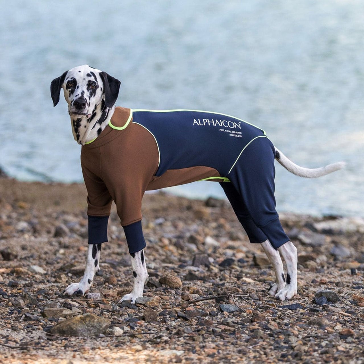 ALPHAICON [アルファアイコン] W.FULL DOG GUARD [25WFDG] ダブルフル