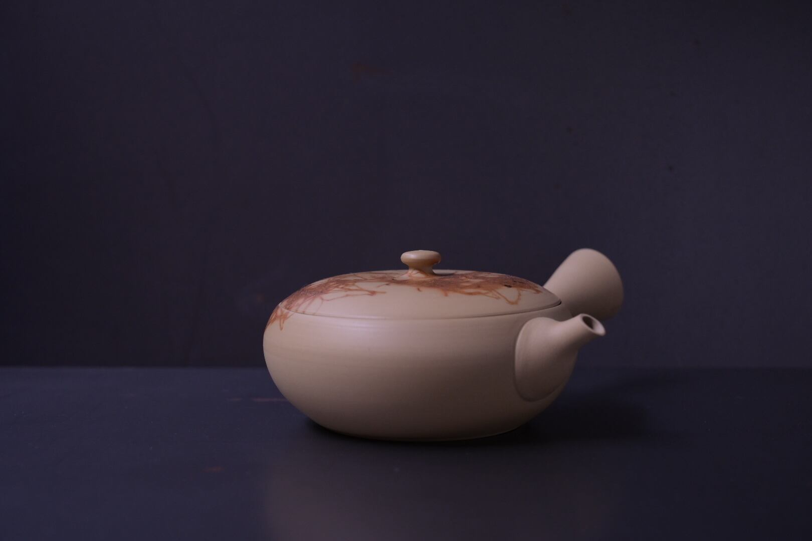 常滑 水野元光 南蛮 横手 急須 煎茶道具 古美術 古道具 幕末〜明治