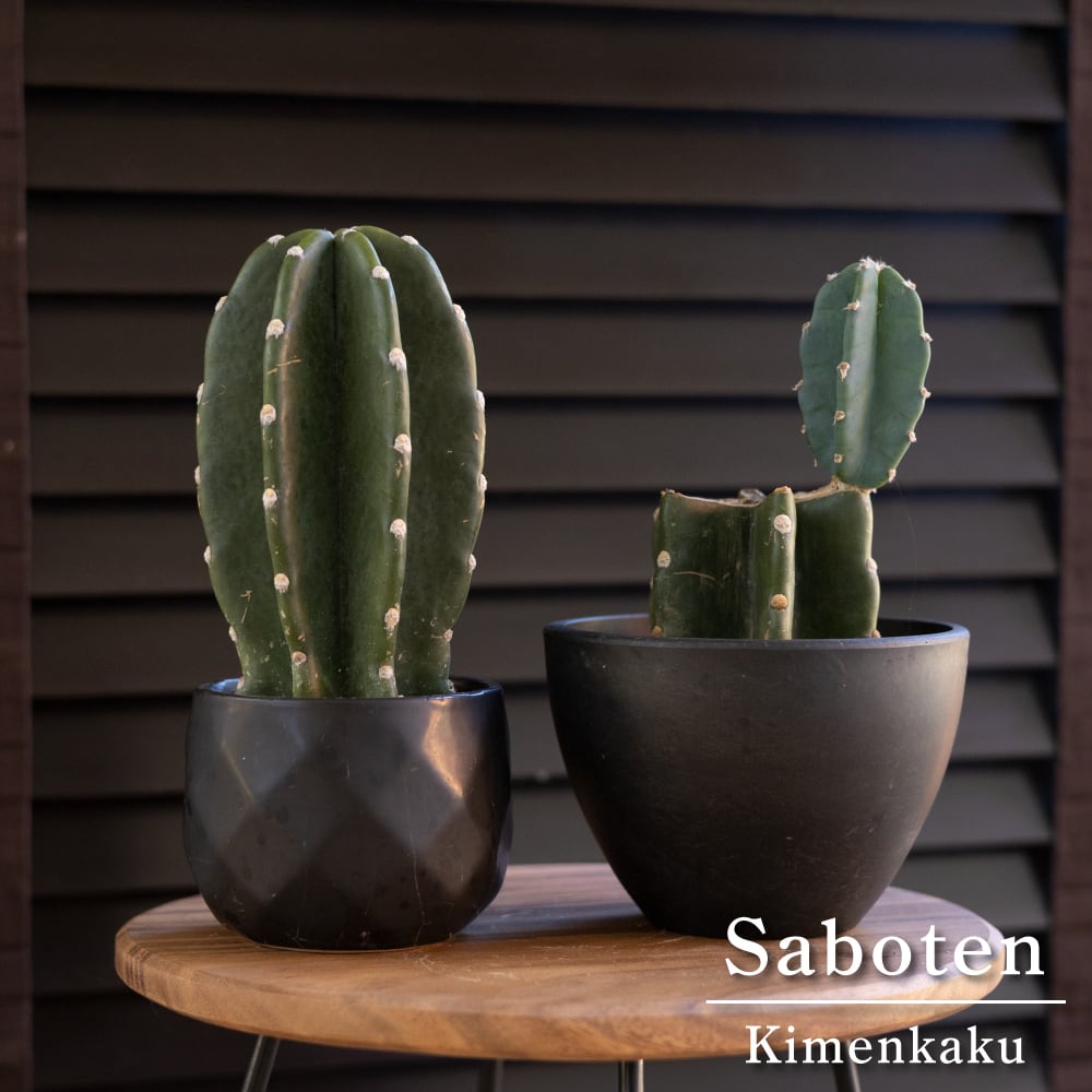 fde225bfa8fb4ef428e614f57fe9ee