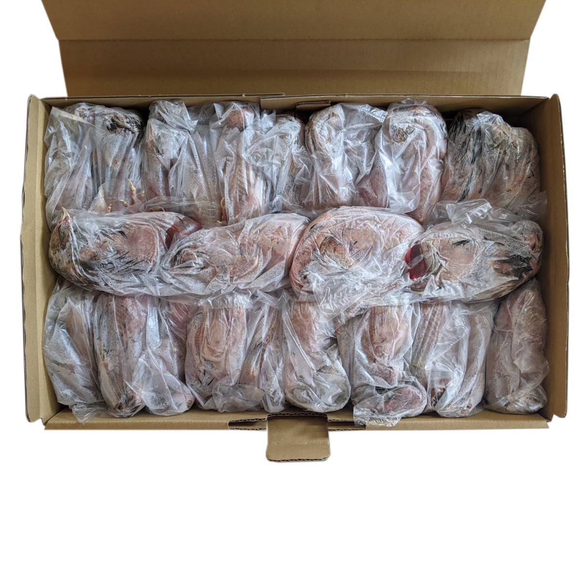 2ケース】豊橋産 冷凍ウズラ 未処理 25羽2ケース 親ウズラ 猛禽類