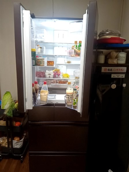 三菱電機 中だけひろびろ大容量 MZシリーズ MR-MZ54H-XT [フロスト